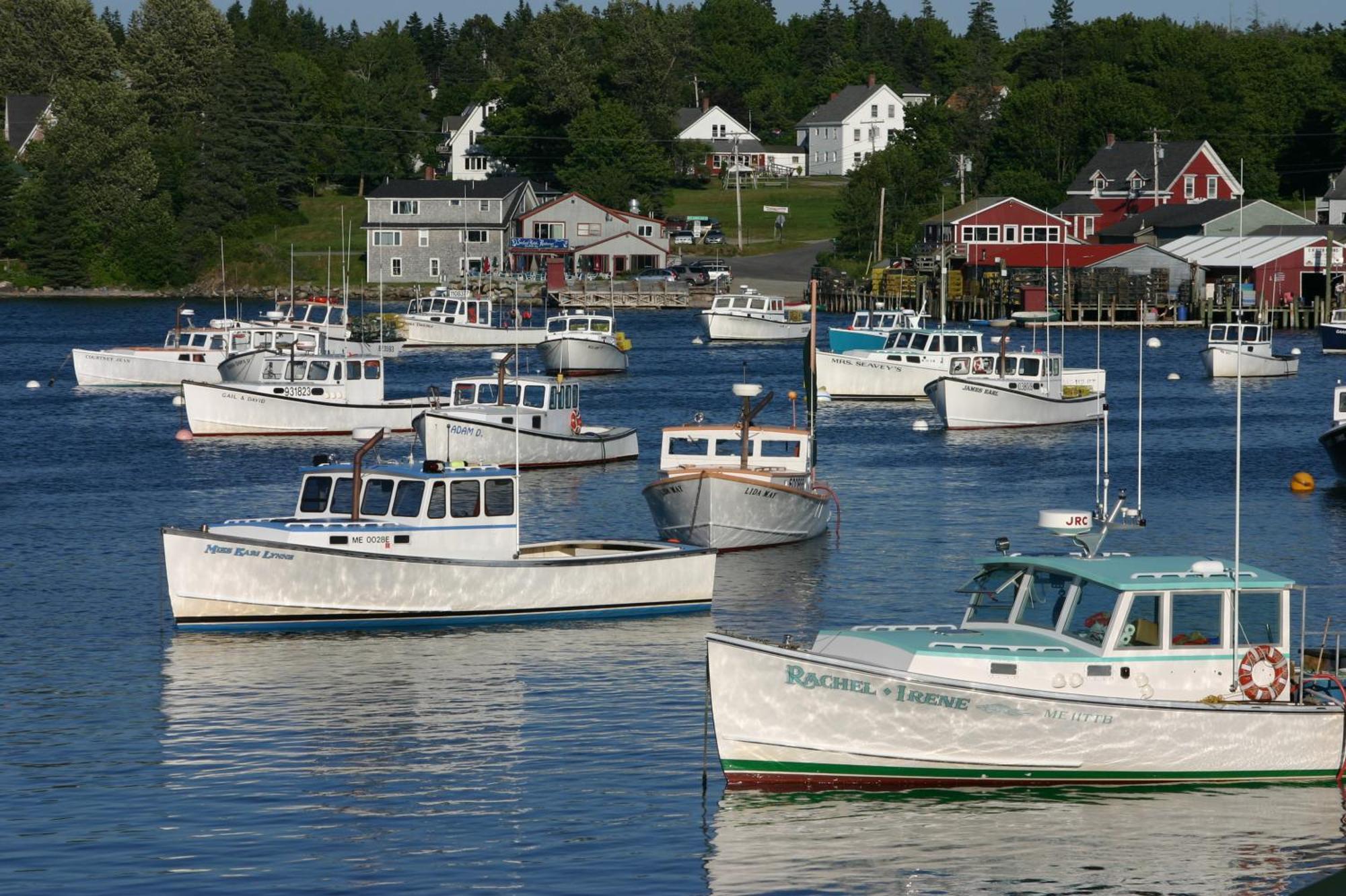 Lighthouse Cabins Maine Bass Harbor Екстер'єр фото